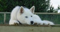 Ribhinn lying on her platform
