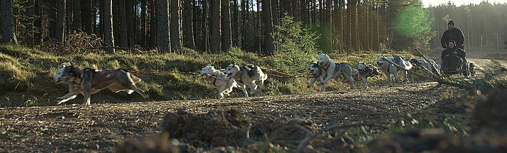 Gealach Mor's race team at Balloch. Harry and Teague in lead.