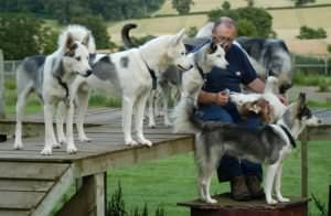 A group of our youing dogs and me on the playstage