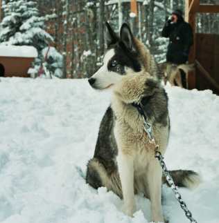 Fina on her stake out chain in Wentworth Jan 2005