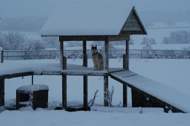 Keetna sheltring on the playstage from the snow in Feb 2005