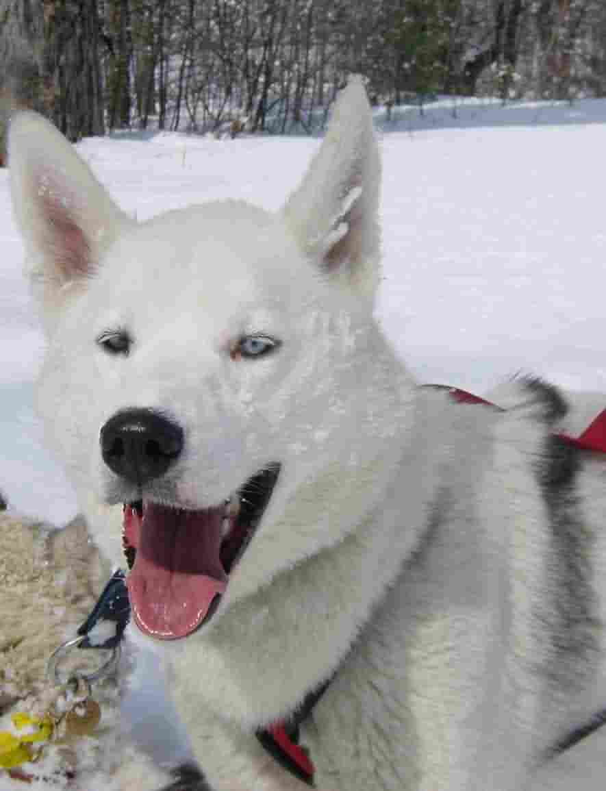 BB smiling in the snow