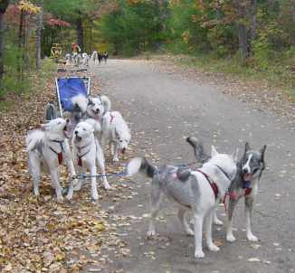 At lead on a training run at Hill Village, NH