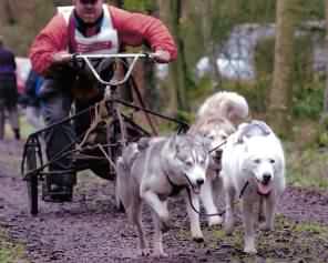 Keetna's official race photograph. Nov 2002