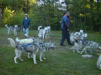 Stressed? Try getting 20+ dogs to stand patiently.....