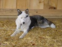 Beth sitting in the hay