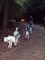 Vader and Milloy lead the team on a training run