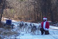 Me as Father Christmas with my faithful team of huskies