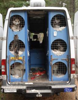 New custom built dog boxes in our Mercedes Sprinter van