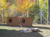 Vader grabs a quick snooze in a shady spot